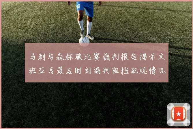 马刺与森林狼比赛裁判报告揭示文班亚马最后时刻漏判阻挡犯规情况