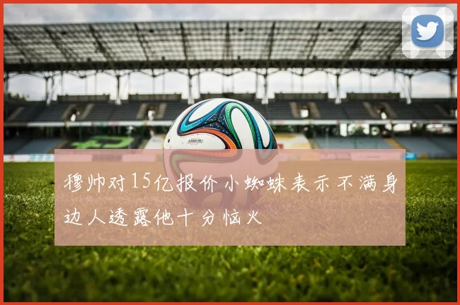 穆帅对15亿报价小蜘蛛表示不满身边人透露他十分恼火