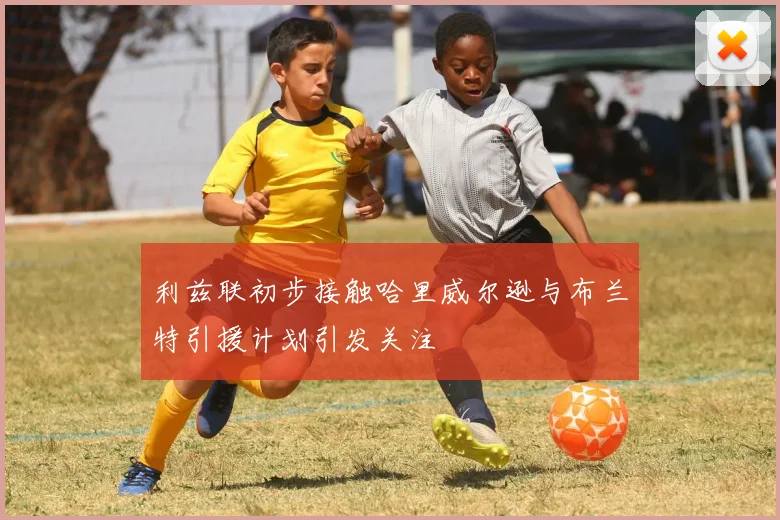 利兹联初步接触哈里威尔逊与布兰特引援计划引发关注