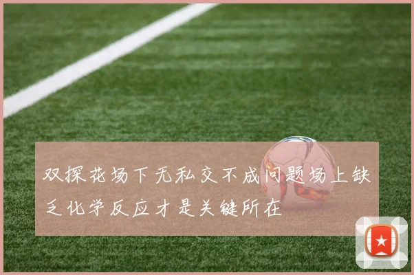 双探花场下无私交不成问题场上缺乏化学反应才是关键所在
